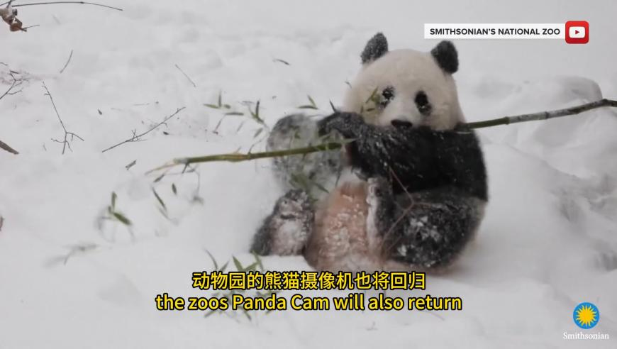 四肖中特王中王期期中十好日,副院长被指婚内出轨女博士,全面解答解释落实_交互版V3.14